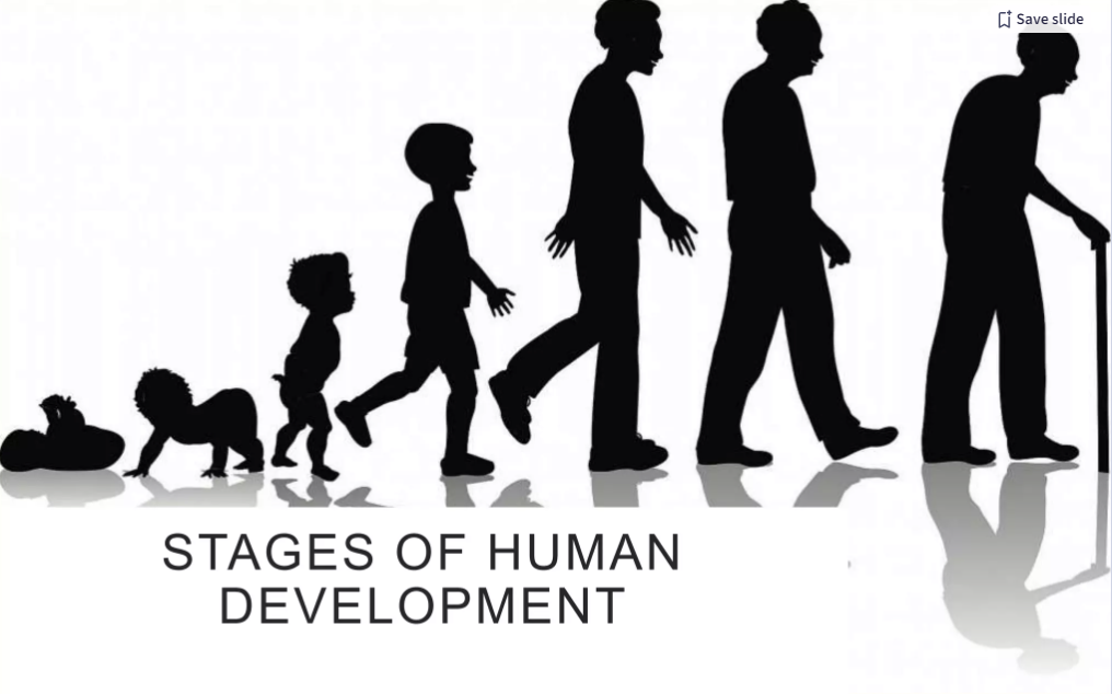 Notes on -Human development-psychosocial stages of development