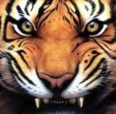 The Tiger – Summary | Major English Grade XII