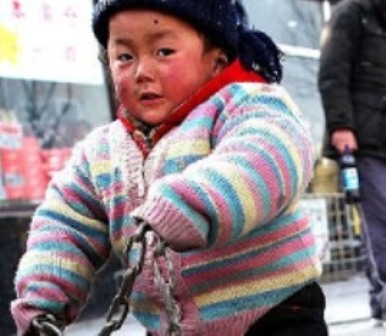 Child Care in China - Summary | Major English Grade XI